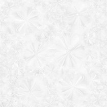 Gạch Prime 60x60 12022