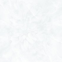 Gạch Prime 60x60 12024