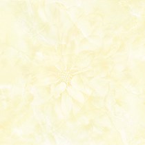 Gạch Prime 60x60 12025