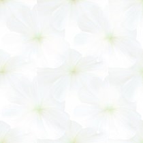 Gạch Prime 60x60 12032