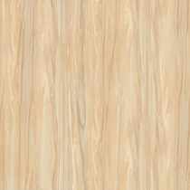 Gạch Prime 60x60 12779