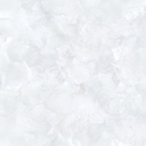 Gạch Prime 60x60 15623