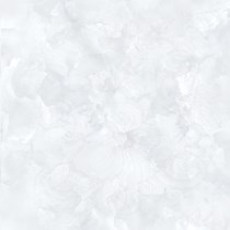 Gạch Prime 60x60 15623