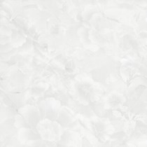 Gạch Prime 60x60 15633