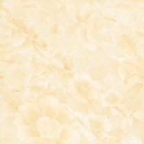 Gạch Prime 60x60 15634