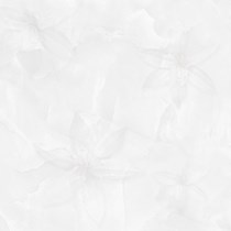 Gạch Prime 60x60 15638