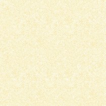 Gạch Prime 60x60 1606