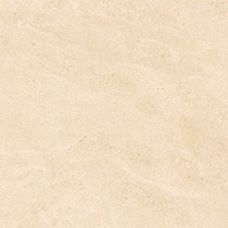 Gạch Prime 60x60 8275