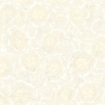 Gạch Prime 60x60 9001