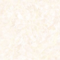 Gạch Prime 60x60 9016