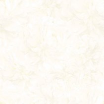 Gạch Prime 60x60 9017