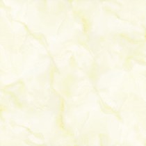 Gạch Prime 60x60 9046