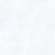 Gạch Prime 60x60 9047