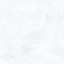 Gạch Prime 60x60 9048