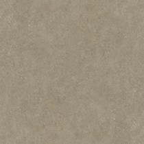 Gạch Prime 60x60 9049