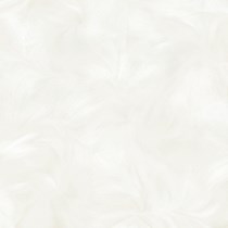 Gạch Prime 60x60 9074