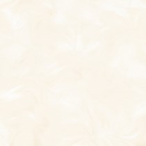 Gạch Prime 60x60 9075