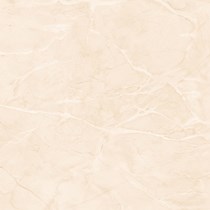 Gạch Prime 60x60 9079