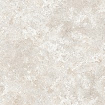 Gạch Prime 60x60 9102