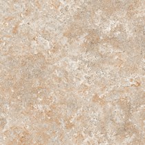 Gạch Prime 60x60 9103