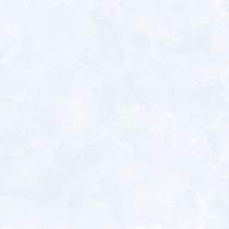 Gạch Prime 60x60 9113