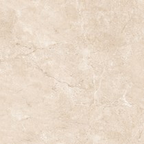 Gạch Prime 60x60 9121