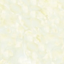 Gạch Prime 60x60 9200