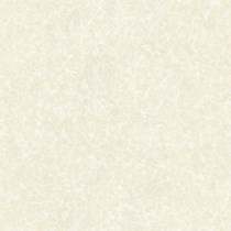 Gạch Prime 60x60 9661