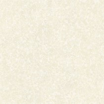 Gạch Prime 60x60 9661