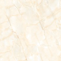 Gạch Prime 60x60 9842
