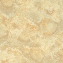 Gạch Prime 60x60 9876