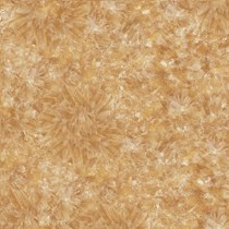 Gạch Prime 60x60 9897