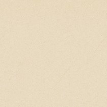 Gạch Prime 60x60 9950