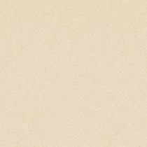 Gạch Prime 60x60 9950