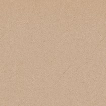 Gạch Prime 60x60 9951