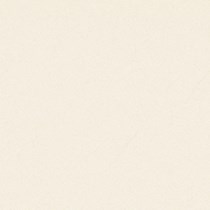 Gạch Prime 60x60 9952