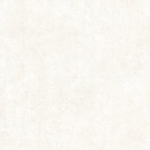 Gạch Prime 60x60 9959