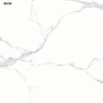 Gạch Vitto 60x60 8H736