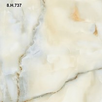 Gạch Vitto 60x60 8H737