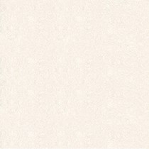 Gạch Vitto 60x60 8H745