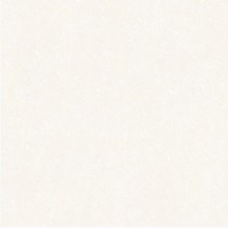 Gạch Vitto 60x60 H620