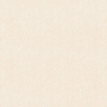 Đá bóng kính toàn phần Prime 80x80 8706