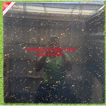 Gạch lát nền Prime 60x60 15658