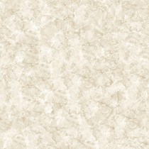 Gạch lát nền Prime 60x60 17127