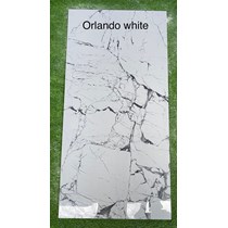 Gạch ốp lát Ấn Độ 60x120 Orlando White