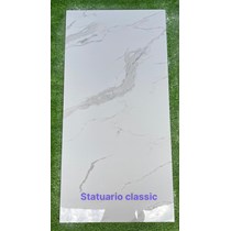 Gạch ốp lát Ấn Độ 60x120 Statuario Classic