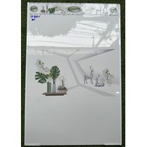 Gạch ốp tường giá rẻ 300x600 TP3660