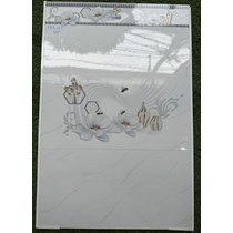 Gạch ốp tường giá rẻ 300x600 TP3662