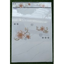 Gạch ốp tường giá rẻ 30x60 TP3667