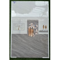 Gạch ốp tường giá rẻ 30x60 TP3669